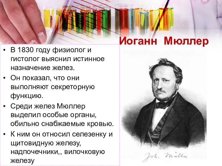 Иоганн Мюллер В 1830 году физиолог и гистолог выяснил истинное назначение