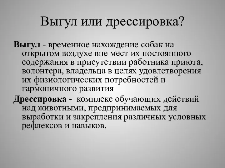 Выгул или дрессировка? Выгул - временное нахождение собак на открытом воздухе