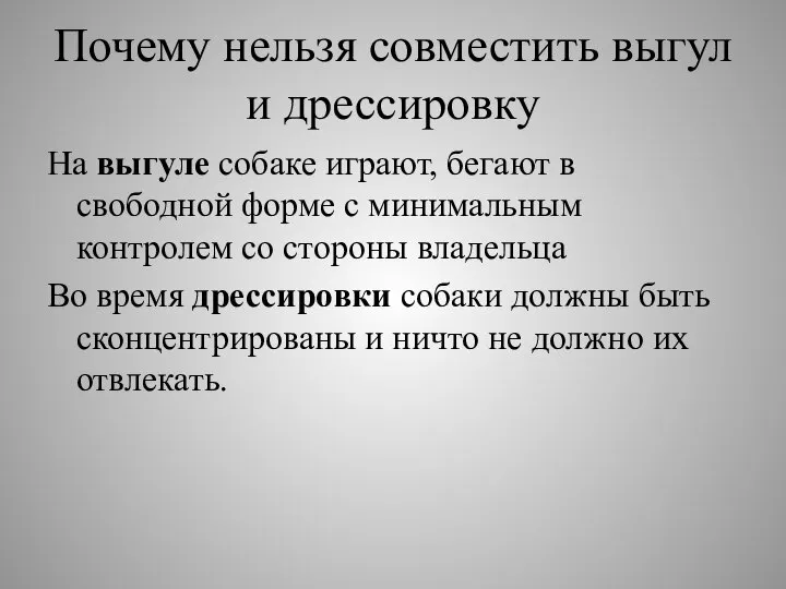 Почему нельзя совместить выгул и дрессировку На выгуле собаке играют, бегают