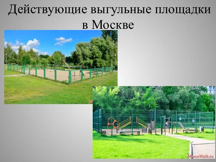 Действующие выгульные площадки в Москве