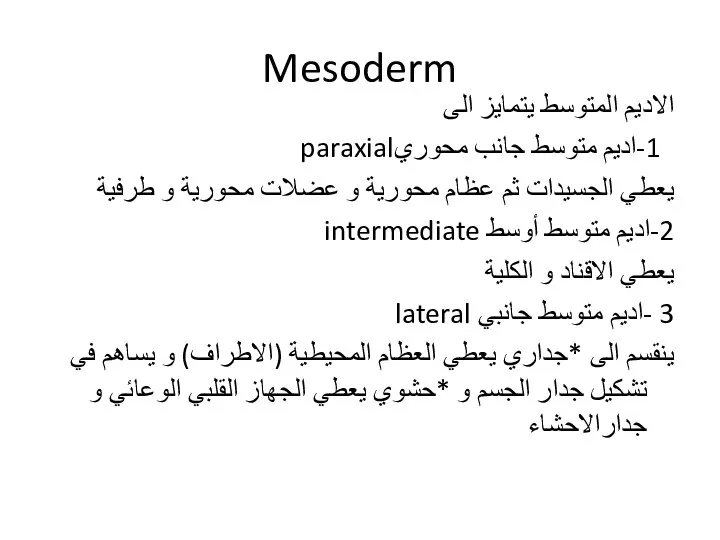 Mesoderm الاديم المتوسط يتمايز الى 1-اديم متوسط جانب محوريparaxial يعطي الجسيدات