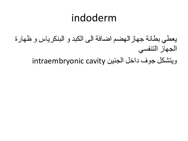 indoderm يعطي بطانة جهازالهضم اضافة الى الكبد و البنكرياس و ظهارة