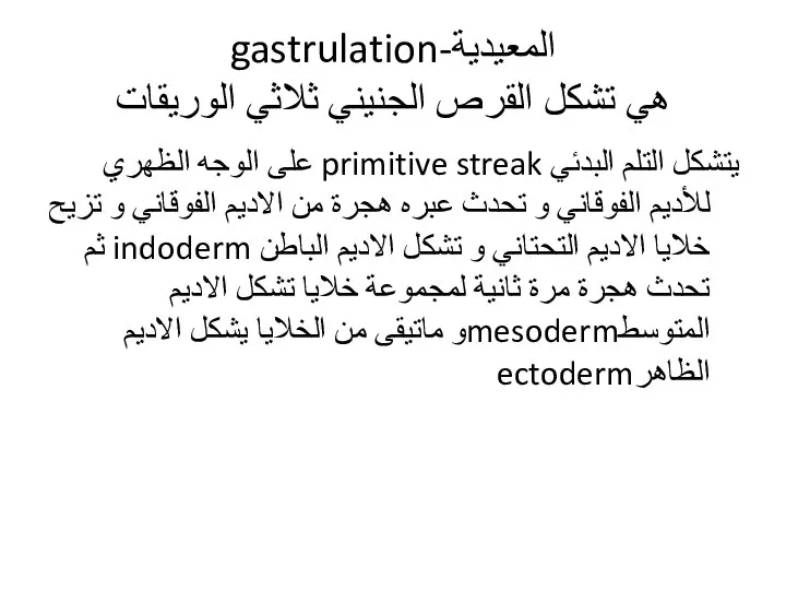 المعيدية-gastrulation هي تشكل القرص الجنيني ثلاثي الوريقات يتشكل التلم البدئي primitive