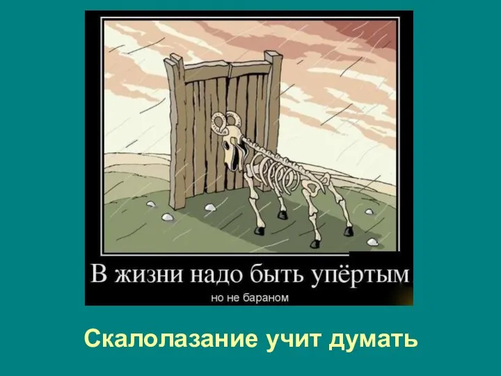 Скалолазание учит думать