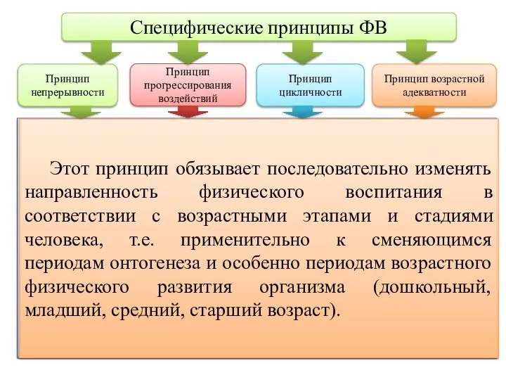 Специфические принципы ФВ Принцип непрерывности Принцип прогрессирования воздействий Принцип цикличности Принцип