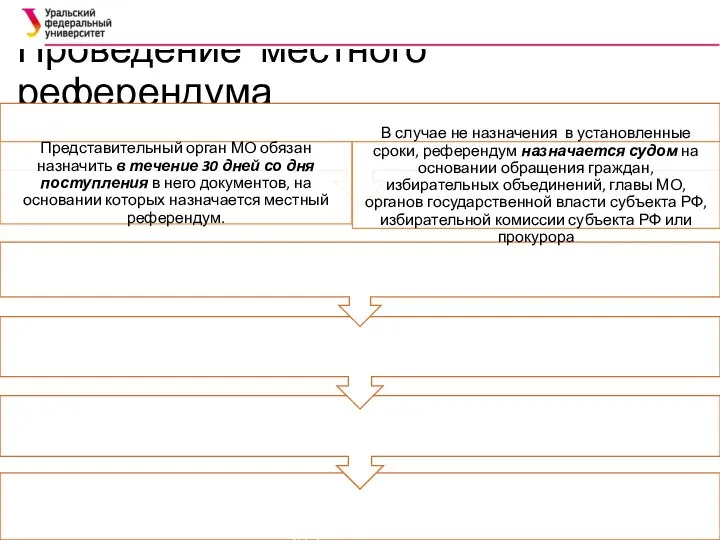 Проведение местного референдума