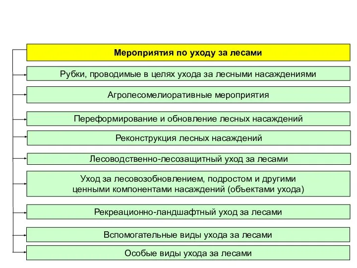 Мероприятия по уходу за лесами Уход за лесовозобновлением, подростом и другими