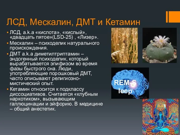 ЛСД, Мескалин, ДМТ и Кетамин ЛСД, a.k.a «кислота», «кислый», «двадцать пятое»(LSD-25)