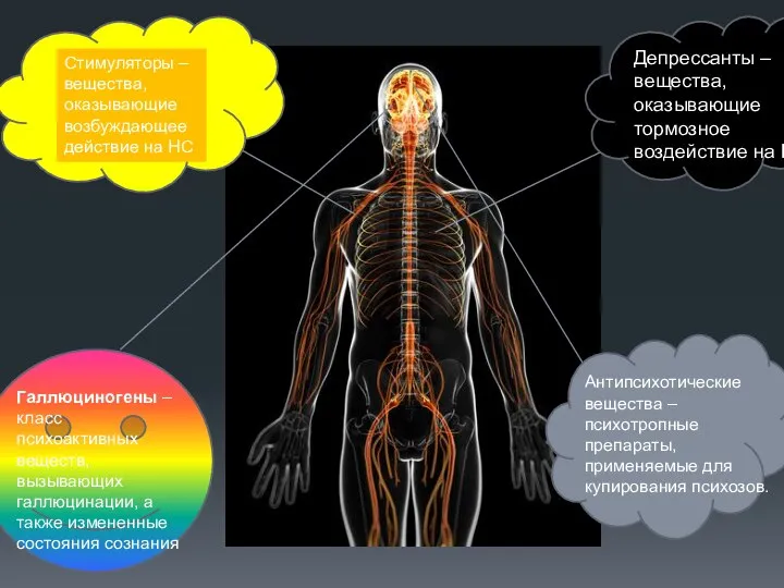 Стимуляторы – вещества, оказывающие возбуждающее действие на НС Депрессанты – вещества,