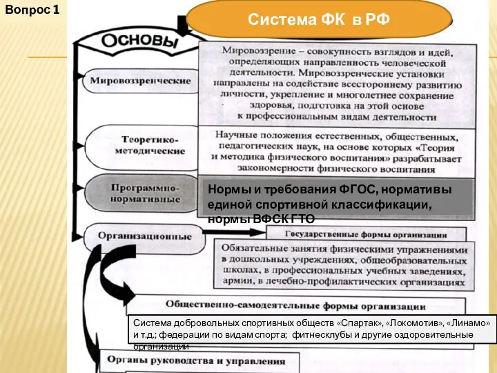 Система ФК в РФ Нормы и требования ФГОС, нормативы единой спортивной