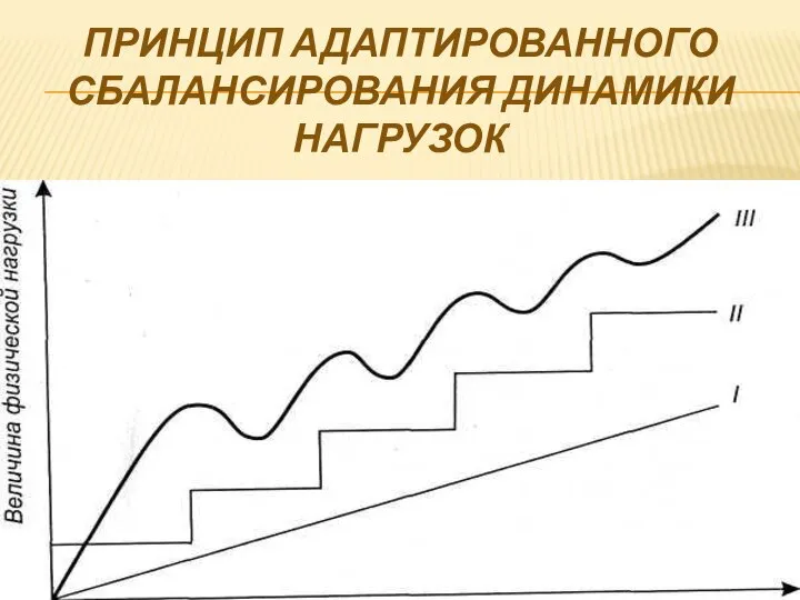 ПРИНЦИП АДАПТИРОВАННОГО СБАЛАНСИРОВАНИЯ ДИНАМИКИ НАГРУЗОК