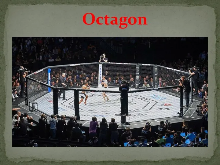 Octagon