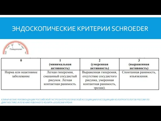 ЭНДОСКОПИЧЕСКИЕ КРИТЕРИИ SCHROEDER КЛИНИЧЕСКИЕ РЕКОМЕНДАЦИИ РОССИЙСКОЙ ГАСТРОЭНТЕРОЛОГИЧЕСКОЙ АССОЦИАЦИИ И АССОЦИАЦИИ КОЛОПРОКТОЛОГОВ