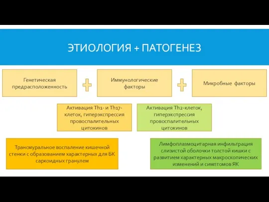 ЭТИОЛОГИЯ + ПАТОГЕНЕЗ Генетическая предрасположенность Иммунологические факторы Микробные факторы Активация Th1-