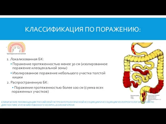 КЛАССИФИКАЦИЯ ПО ПОРАЖЕНИЮ: 1. Локализованная БК: Поражение протяженностью менее 30 см