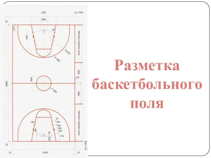 Разметка баскетбольного поля