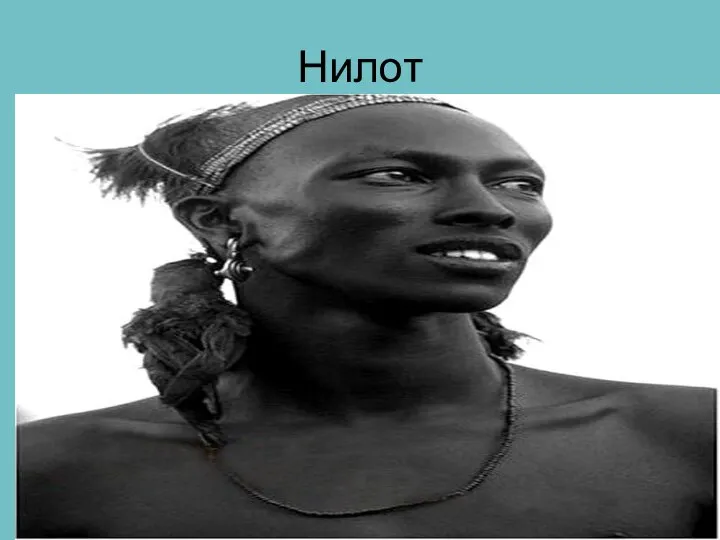 Нилот