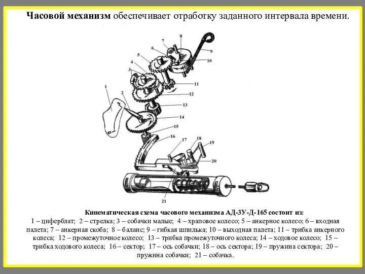 Часовой механизм обеспечивает отработку заданного интервала времени. Кинематическая схема часового механизма