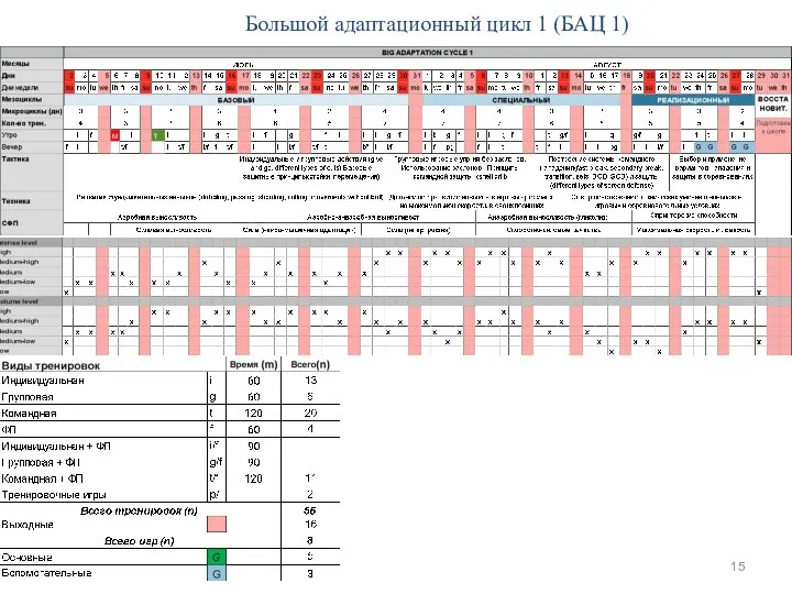 Большой адаптационный цикл 1 (БАЦ 1)