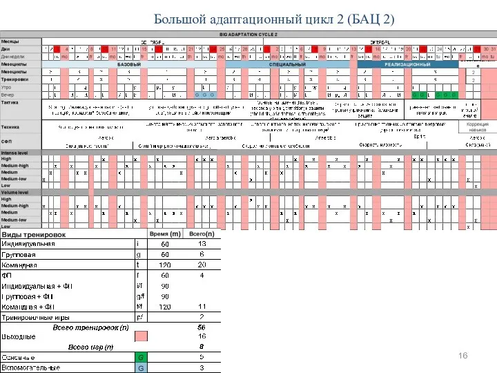 Большой адаптационный цикл 2 (БАЦ 2)