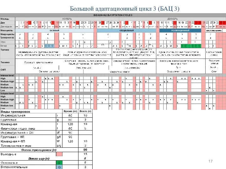 Большой адаптационный цикл 3 (БАЦ 3)