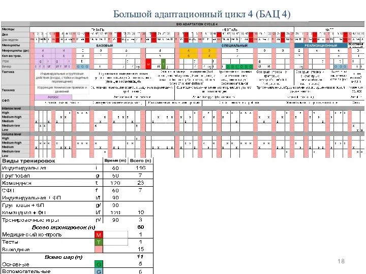 Большой адаптационный цикл 4 (БАЦ 4)