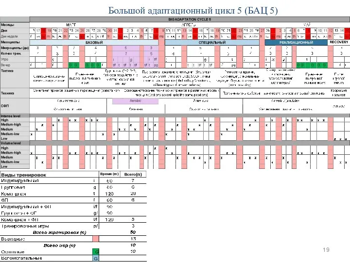 Большой адаптационный цикл 5 (БАЦ 5)