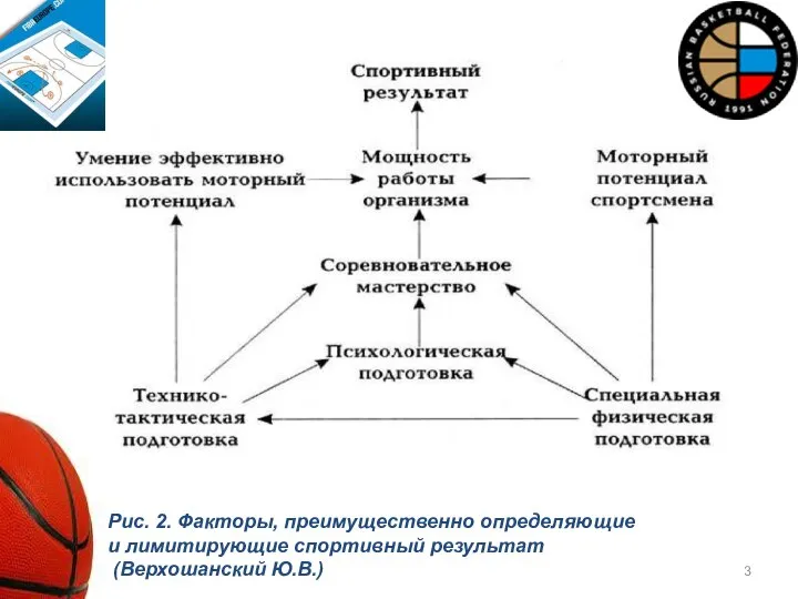 Рис. 2. Факторы, преимущественно определяющие и лимитирующие спортивный результат (Верхошанский Ю.В.)