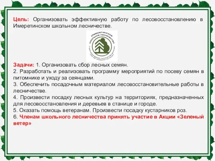 Цель: Организовать эффективную работу по лесовосстановлению в Имеретинском школьном лесничестве. Задачи: