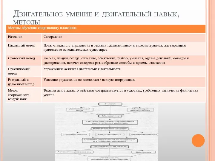 Двигательное умение и двигательный навык, методы