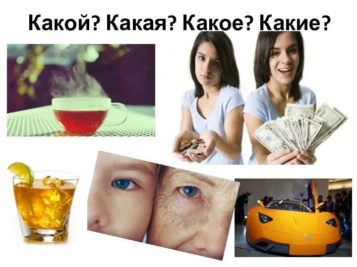 Какой? Какая? Какое? Какие?