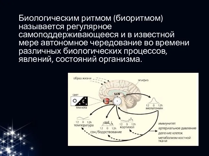 Биологическим ритмом (биоритмом)называется регулярное самоподдерживающееся и в известной мере автономное чередование