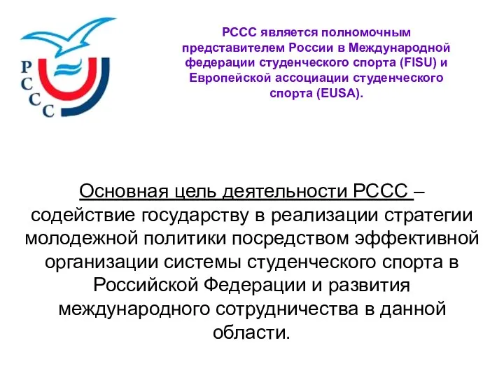 Основная цель деятельности РССС – содействие государству в реализации стратегии молодежной