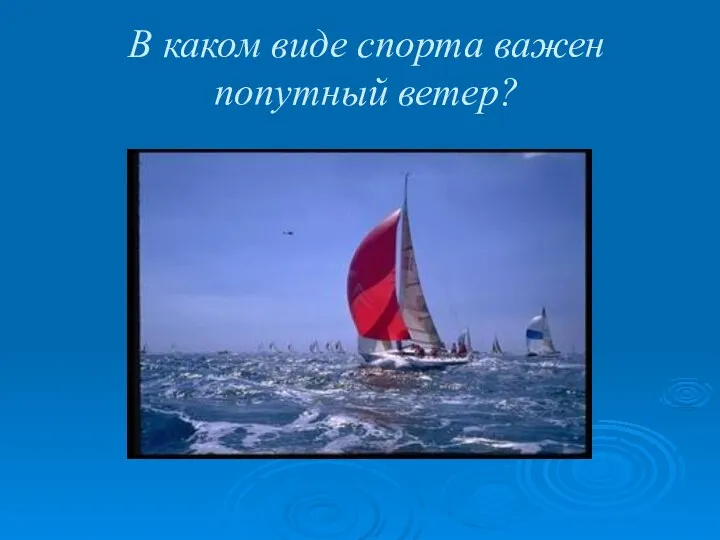 В каком виде спорта важен попутный ветер?