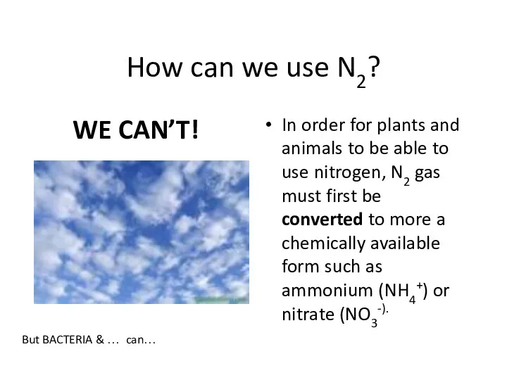 How can we use N2? In order for plants and animals