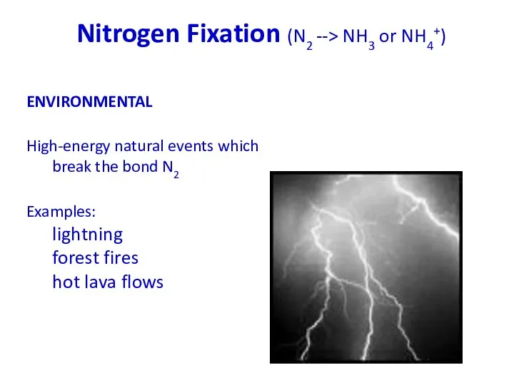 Nitrogen Fixation (N2 --> NH3 or NH4+) ENVIRONMENTAL High-energy natural events