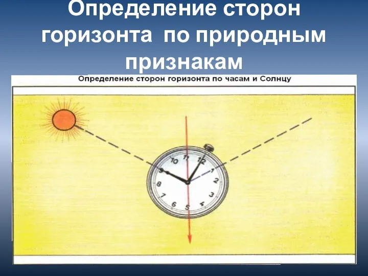 Определение сторон горизонта по природным признакам