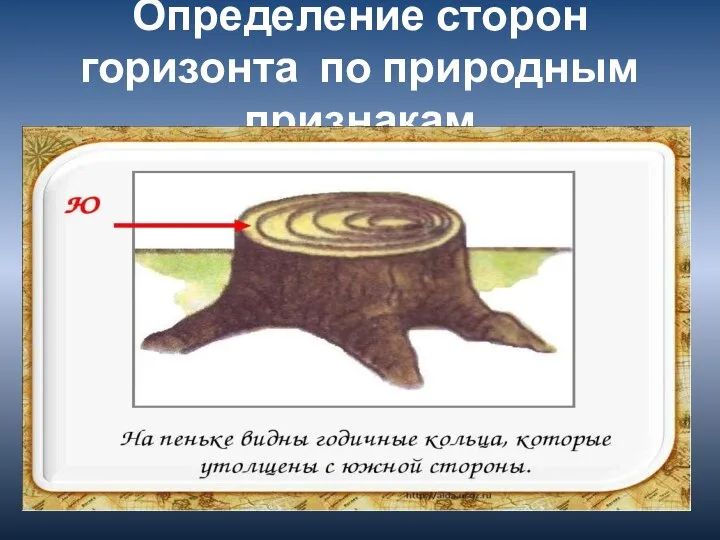 Определение сторон горизонта по природным признакам