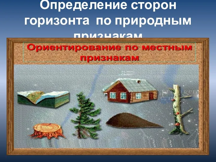 Определение сторон горизонта по природным признакам