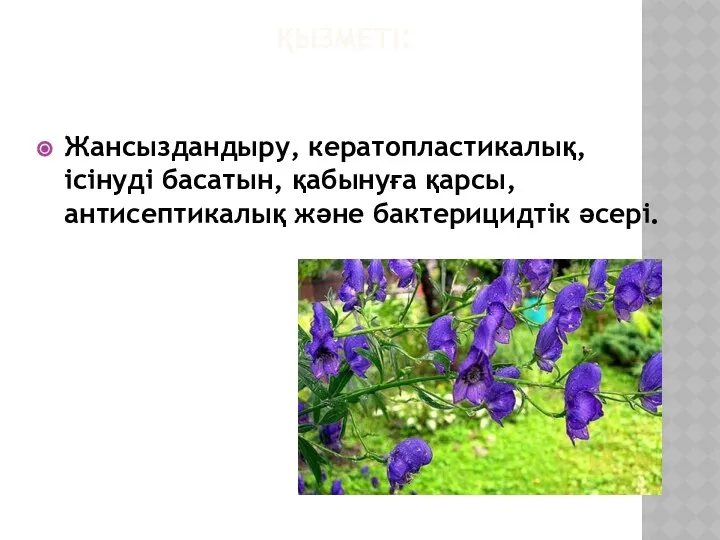 ҚЫЗМЕТІ: Жансыздандыру, кератопластикалық, ісінуді басатын, қабынуға қарсы, антисептикалық және бактерицидтік әсері.