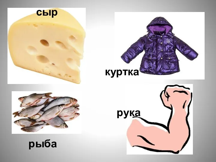 рыба рука куртка сыр