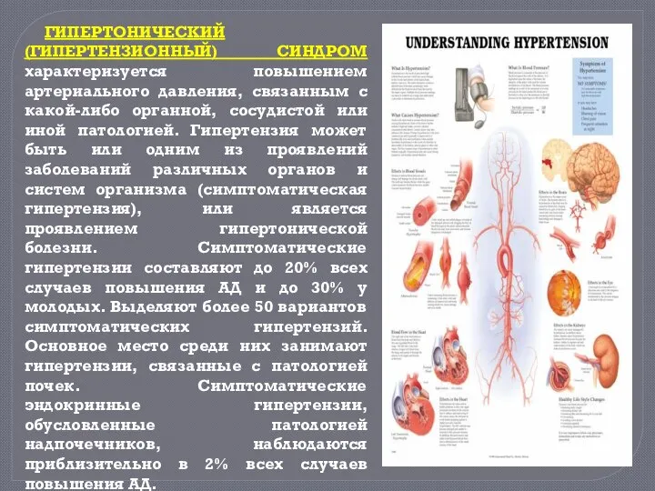 ГИПЕРТОНИЧЕСКИЙ (ГИПЕРТЕНЗИОННЫЙ) СИНДРОМ характеризуется повышением артериального давления, связанным с какой-либо органной,