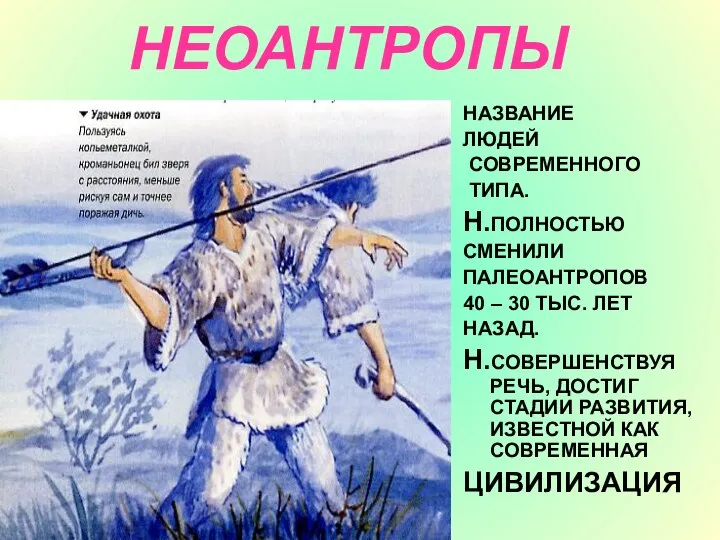 НЕОАНТРОПЫ НАЗВАНИЕ ЛЮДЕЙ СОВРЕМЕННОГО ТИПА. Н.ПОЛНОСТЬЮ СМЕНИЛИ ПАЛЕОАНТРОПОВ 40 – 30