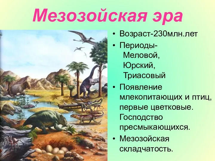 Мезозойская эра Возраст-230млн.лет Периоды- Меловой, Юрский, Триасовый Появление млекопитающих и птиц,