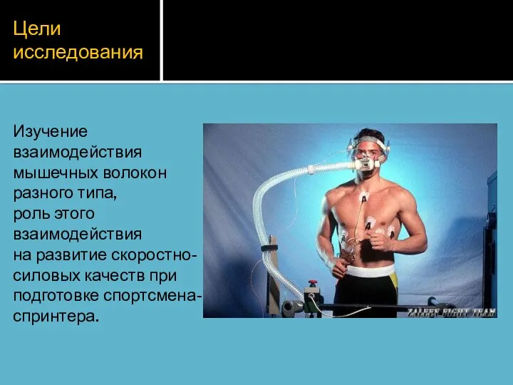 Цели исследования Изучение взаимодействия мышечных волокон разного типа, роль этого взаимодействия