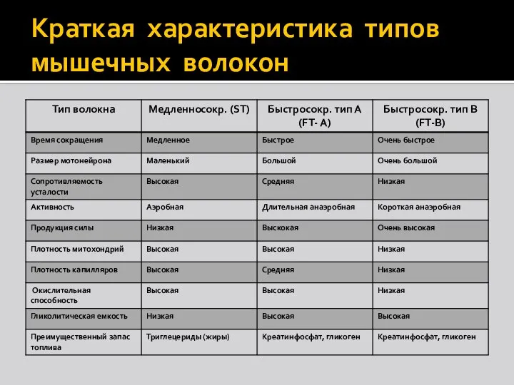 Краткая характеристика типов мышечных волокон