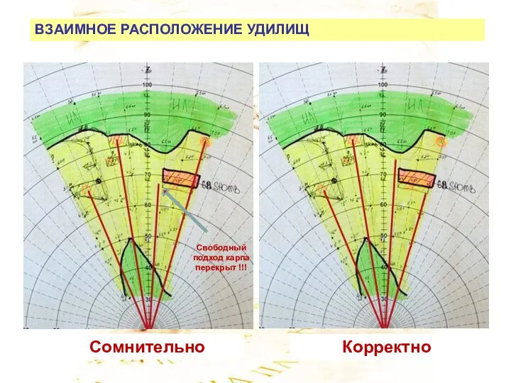 ВЗАИМНОЕ РАСПОЛОЖЕНИЕ УДИЛИЩ Сомнительно Корректно Свободный подход карпа перекрыт !!!