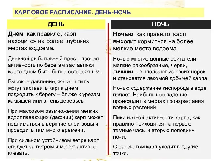 КАРПОВОЕ РАСПИСАНИЕ. ДЕНЬ-НОЧЬ Днем, как правило, карп находится на более глубоких