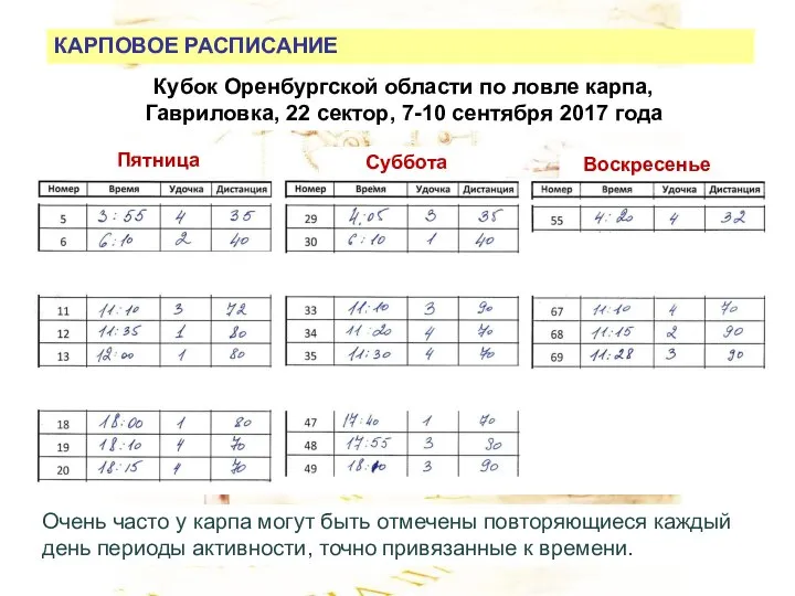 КАРПОВОЕ РАСПИСАНИЕ Венеция День Ночь Сектор 21 Кубок Оренбургской области по