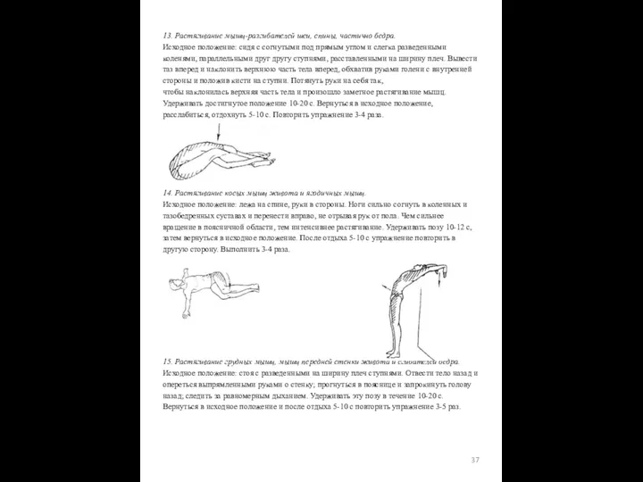 13. Растягивание мышц-разгибателей шеи, спины, частично бедра. Исходное положение: сидя с